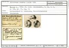 Karteikarte zum Holotyp von Discorbina danubia Karrer, 1870
